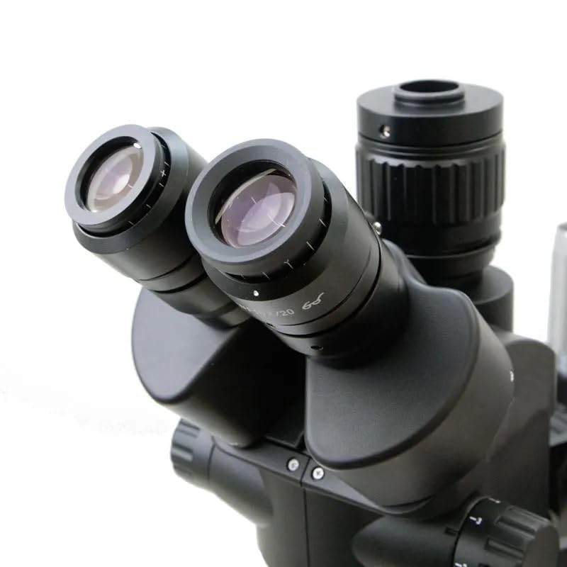 城石憲之 現役時代着用ユニフォーム 直筆サイン入り ヤクルト