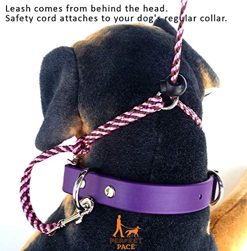 diy dog head halter
