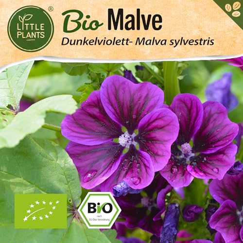 Little Plants BIO Malve Samen 100 Malvesamen Violett Blumensamen für Blumenkübel Samenfest Blumen Samen für Balkon und Garten