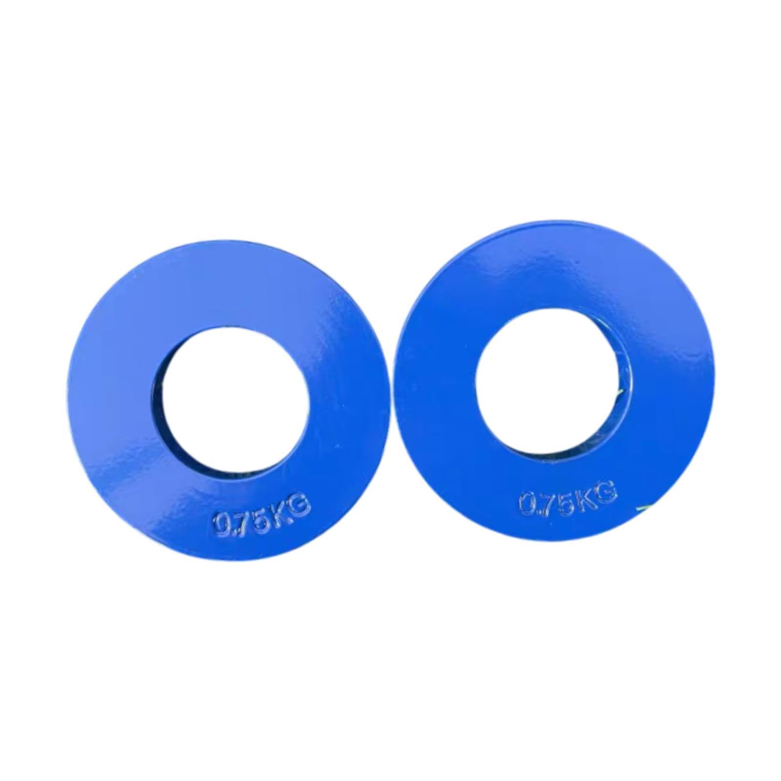 Baoblaze 2Pcs Steel Fractional Weight Plates Add-on Change Weight Plate Portable Barbell Weights for Micro Loading Fitness Enthusiasts, Blue, 0.75kg