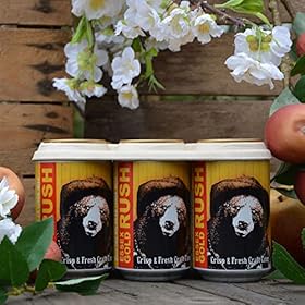 Buy THE BIG BEAR CIDER MILL Essex Gold Rush Cider (24 Pack) – Refreshing Sparkling Apple Cider with a Crisp, Golden Flavor – 24 x 330ml Cans at 4.8% ABV – The Big Bear Cider Mill