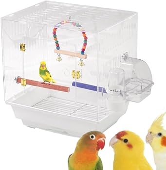 アクリルケージ 鳥かご インコ Amazon.co.jp: 【2023新版 クリアアクリル鳥かご 】 鳥かご