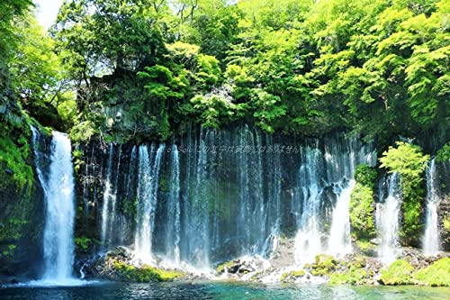 【日本の風景ポストカード】静岡県 白糸の滝のはがきハガキ葉書 撮影/YOSHIO IWASAWA 【日本の風景ポストカード】静岡県 白糸の滝のはがきハガキ葉書 撮影/YOSHIO IWASAWA
