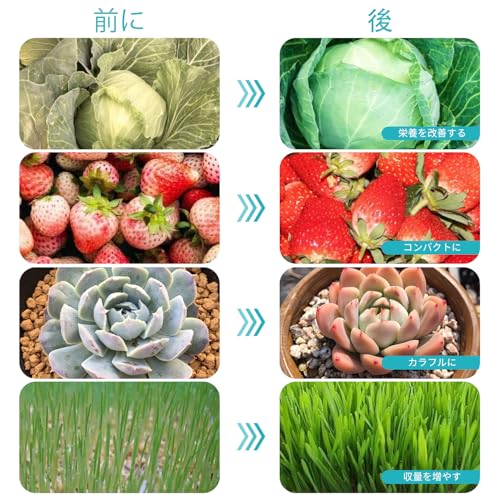 Hywyimlait クリップ式植物育成ライト 屋内植物用 126LED フルスペクトル 赤白光 植物育成ランプ フレキシブルグースネック 4/8/12時間タイマー付き 3つのスペクトルモード 10段階調光可能 3つのヘッド HYJAJZZWL-RW-42-03 の商品画像 6