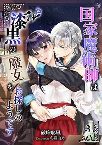 国家魔術師は漆黒の魔女をお探しのようです(3) (アマゾナイトノベルズ)