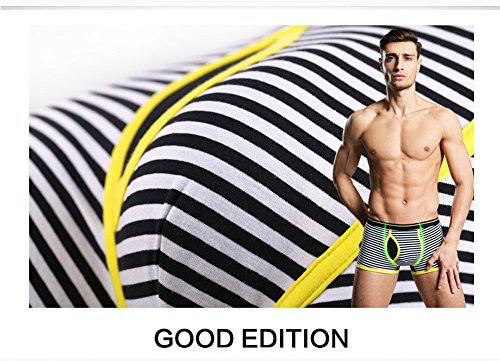 CHUNG Mens Cotton Boxer Underwear Pouch Front Fly Stripes Pattern MId-rise Soft Fashion4