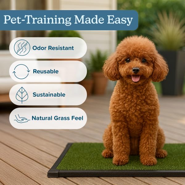 Image of Artificial Grass Puppy Pad with Tray 16x20 inch | Reusable Indoor & Outdoor Dog Potty Training Mat System | Washable Fake Grass Pet Housebreaking Pad for Puppies & Small to Medium Dogs by PETMAKER
