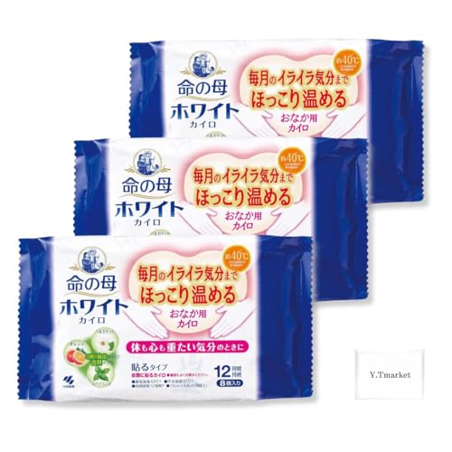 ѐ ̕ zCg JC \ ^Cv (8) (3, 05)