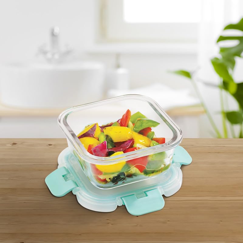 Allo Juego de regalo apto para alimentos, 5 piezas (2 separadores rectangulares de 580 ml, 2 cuadrados de 310 ml, 1 redondo de 390 ml) | Recipiente de vidrio apto para horno a 450 °C con cerraduras