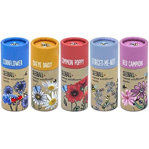 SEEDBALL Wildflower Seed Tubes for Bees Cover