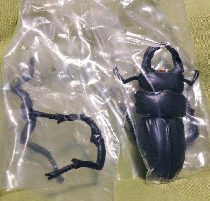 Amazon.co.jp: 日本クワガタムシ大全 全7種 カプセルQ 海洋堂 昆虫