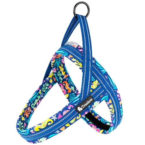 Wanwan Square Garden  n[lX ^ ^ p n[lX  Truelove uh ₷ lIv \tgpbh ȒP K X|[cn[lX nbs[p^[iu[Ag[-Mj