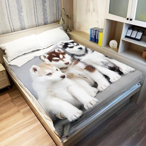 YISUMEI - 150 x 200 cm Decke - Siberian Husky Puppies Dogs Haustiere Fleecedecke,Kaschmir-Gefühl Kuscheldecke Geeignet für Bett oder Sofa