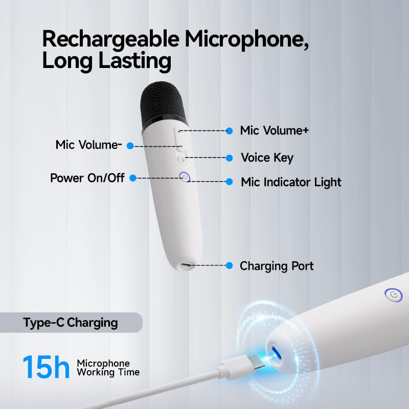 BYD/Jaecoo Official Dual Wireless Karaoke Microphones - Image 6