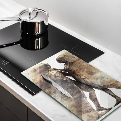 Planche à découper protection plaque cuisson induction en verre 30x52cm Wallfluent robuste