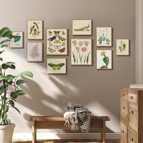 crmotu Botanical Framed Wall Art, Daisy Vintage Decor Pictures, Minimalist Floral Canvas Prints, Still Life Flower Nature Wall Decor, Bathroom Bedroom Above Bed Kitchen Rustic Home Decor, 9x11 inch