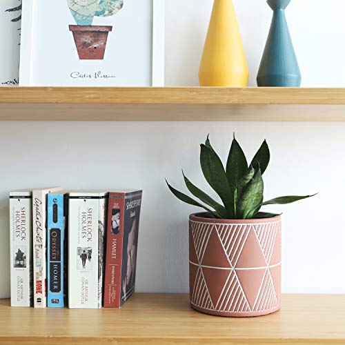 Greenaholics Plant Pots- 4.75 inch Cement Planters Flower Pots, for Snake Plant, Medium Indoor Plant, Vintage Style, Unglazed Medium Bonsai, with Drainage Hole, Terracotta - Thumbnail 6