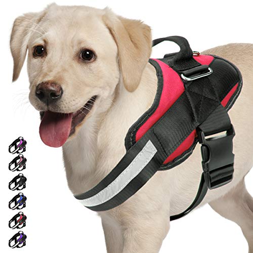 Adjustable Dog Harness, No Pull Dog Harness Outdoor Vest with Easy Control Handle