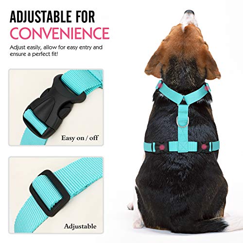 Pawaboo Dog Safety Vest Harness, Pet Car Harness Vehicle Seat Belt with Adjustable Strap and Buckle Clip, Easy Control for Driving Traveling Safety for Small Medium Dogs Cats, Medium, BLUE Pawaboo Dog Safety Vest Harness, Pet Car Harness Vehicle Seat Belt with Adjustable Strap and Buckle Clip, Easy Control for Driving Traveling Safety for Small Medium Dogs Cats, Medium, BLUE