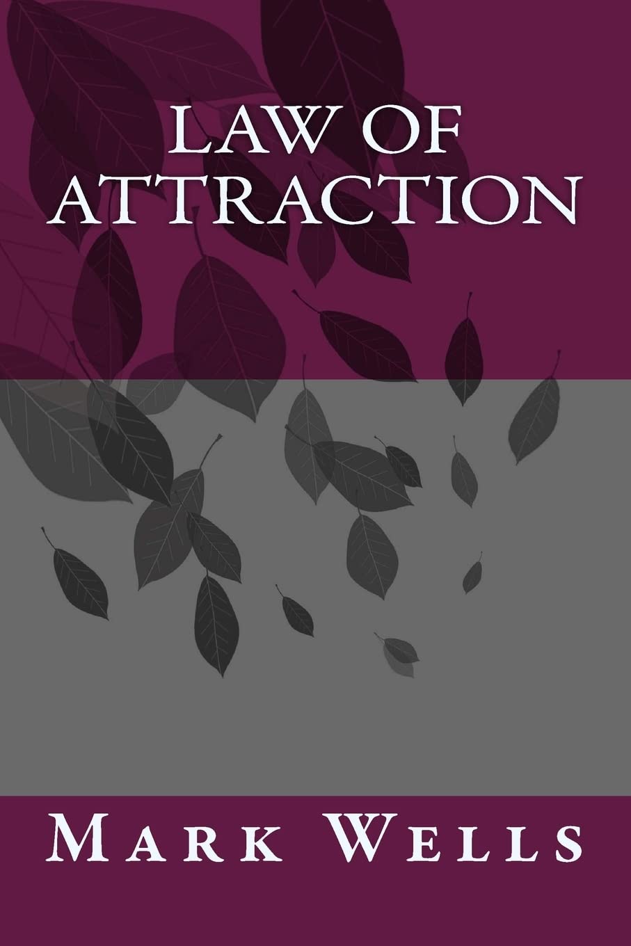 Law of Attraction by Mark Wells - Paperback
