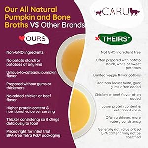 CARU – Each day Dish Pumpkin Broth Meal Topper for Canines & Cats – Savory Pour-Over Broth – 1.1 lbs.