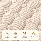 Bettschlange Hundebett Sofa Waschbar - Hundedecke Sofa mit Rand, Sofaschutz Hund, Flauschig Hundebett, rutschfest Hundekissen, Mittelgroße Hunde,75x75cm,Dunkelgrau