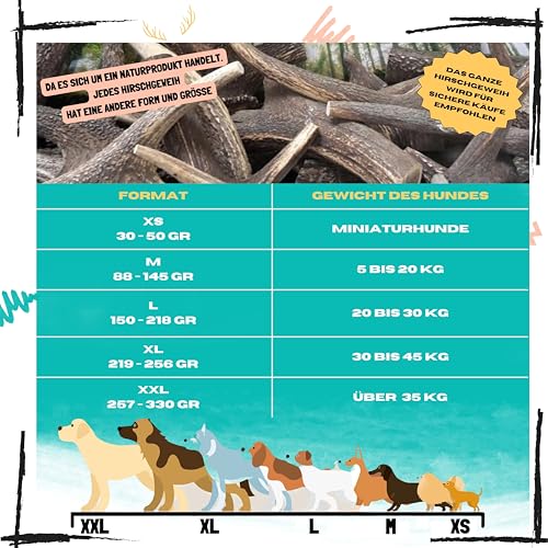Hirschgeweih für Hunde | Größe L Hunde von 20 bis 30 Kg | Natürliche Zahnreinigung | Langanhaltender Kauspaß | 100% Natürliche Mineralienquelle | Stressabbau | Futtermittelunverträglichkeiten