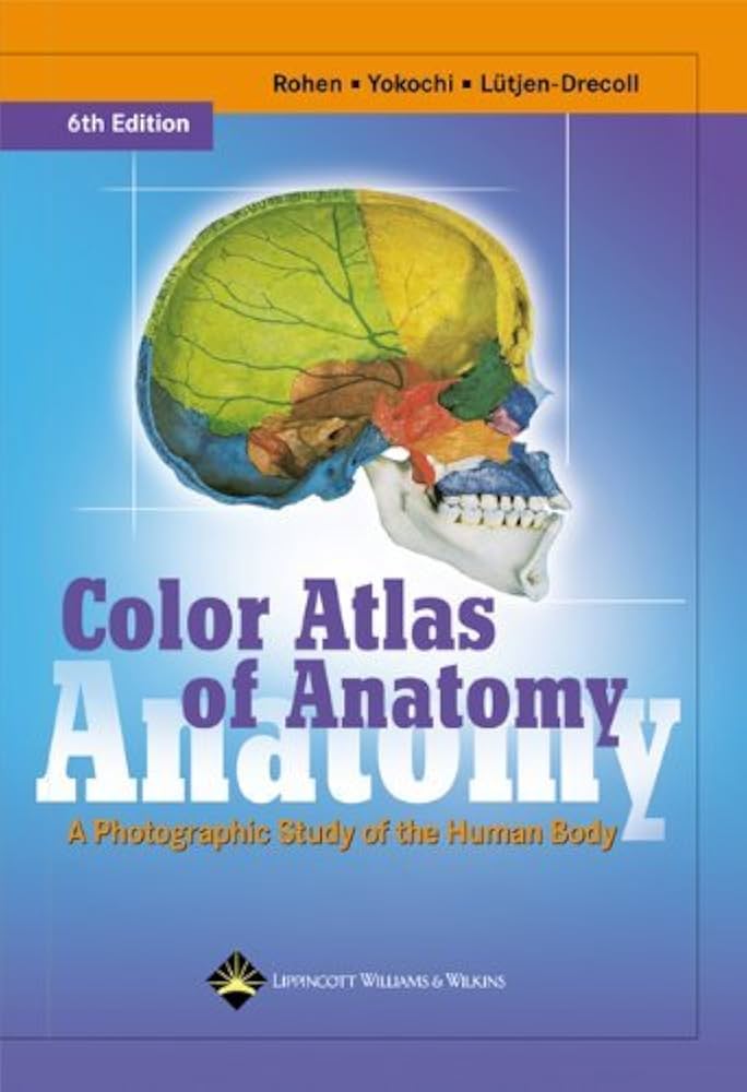洋書 A Colour Atlas of Human Anatomy A1GoNQh1p1L._UF1000,1000_QL80_.jpg