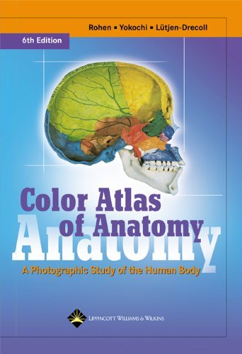 Color Atlas of Anatomy: A Photographic Study of the Human Body (Color Atlas of Anatomy (Rohen)) by Johannes W. Rohen MD (2006-04-21)