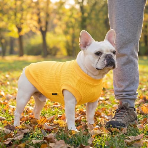 Image of 1 Pack Dog Shirt for Small Supplies Functional Waffle Dog Clothes Warm Soft Sweatshirt Outfit for Dogs Cats Pet Apparel