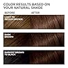 L'Oreal Paris Feria Multi-Faceted Shimmering Permanent Hair Color, 45 French Roast (Deep Bronzed Brown), Pack of 1, Hair Dye - Image 5