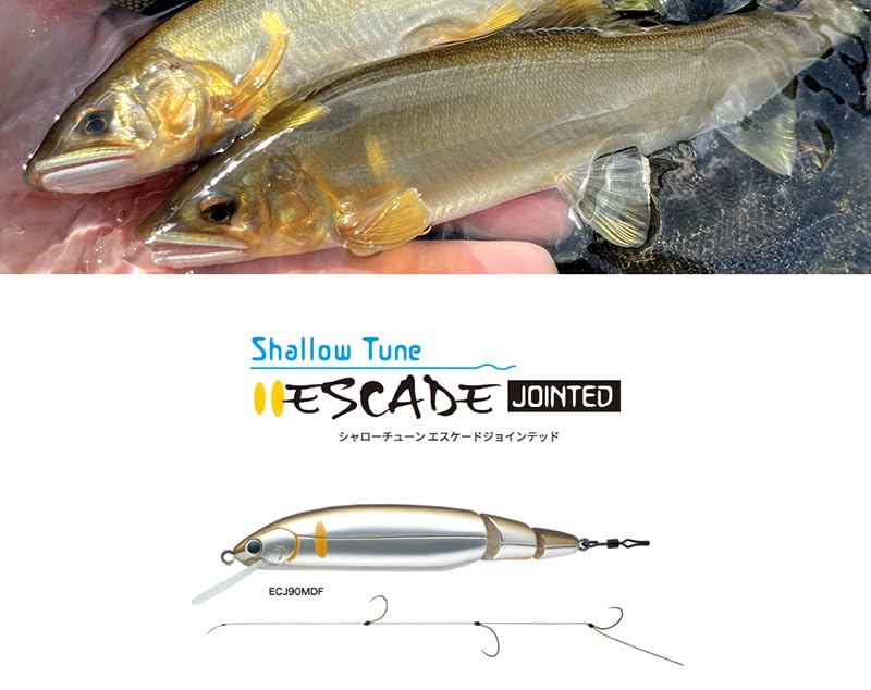 Palms Shallow Tune Eccade ECJ90MDF Jointed Ayu Lure 3.5in Floating Japan