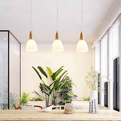 Lampe à suspension en verre de haute qualité style rétro E27 - 6