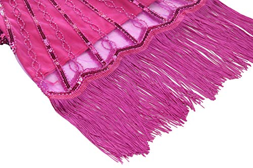 Girls 1920s Vintage Sequined Gatsby Fringed Flapper Dress Roaring 20s Party Dress (Hot Pink, X-Large)4