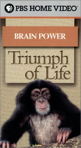 Nature - Triumph of Life, Vol. 5: Brain Power [VHS]
