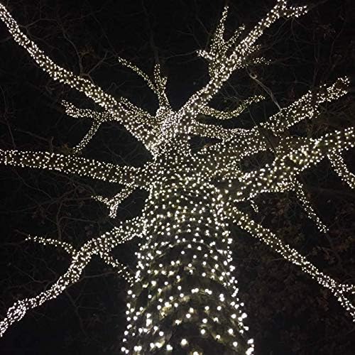 Miniatura 7 de Novelty Lights Juego de mini luces LED de Navidad de 50 luces, luces de cadena de luces de patio para iluminación al aire libre, blanco puro, cable