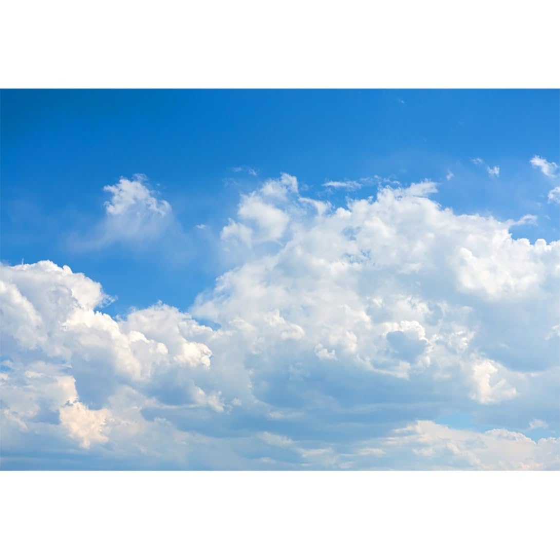 Vie Savaran 6x4ft Blue Sky Backdrop Blue Sky White Clouds Thick Clouds Sunny Sky Nature Scenery Minimalist Photography Background Birthday Party
