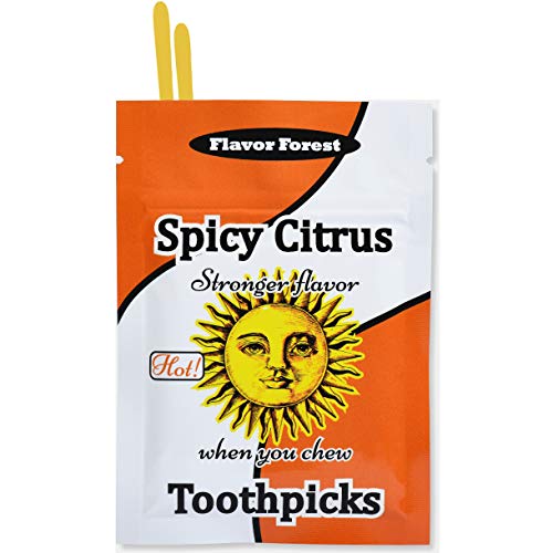 Spicy Citrus Toothpicks (Flat Shape) 100ct