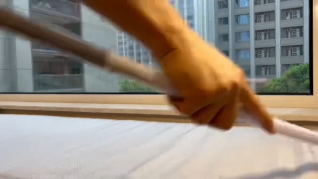 Amazon.co.jp: Lumojoy らくらく抜け毛スティック 猫 猫の毛取り 長さ