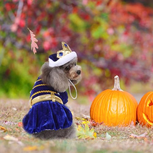 Disfraz Halloween para perro pequeño azul resistente miniatura 6