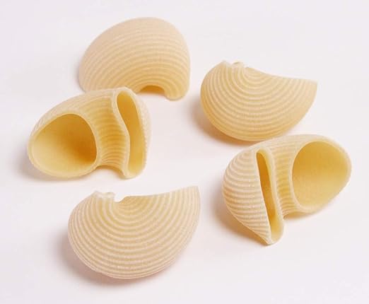 Amazon Co Jp ダラコスタ ショートパスタ ルマコーニ 500g イタリア産 ホーム キッチン Amazon Co Jp ダラコスタ ショートパスタ ルマコーニ 500g イタリア産 ホーム キッチン