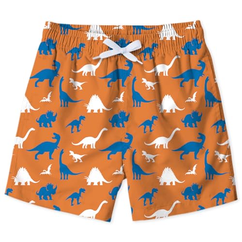 Lovekider Boys 3D Printed Funny Swim Trunks Casual Quick-Drying Beach Pant Running Sports Swim Surf Board Shorts 2-12 Years