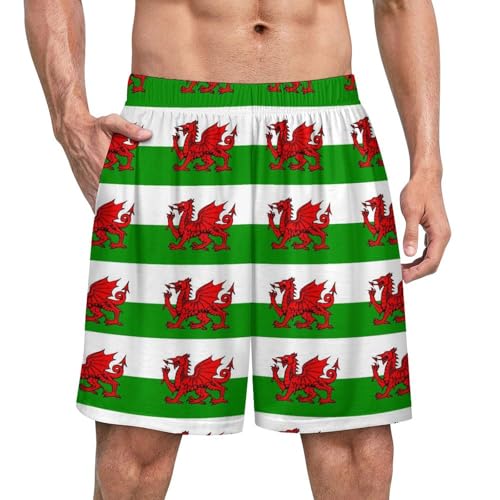 Welsh Dragon Flags Men's Satin Pajama Boxer Shorts Silk Feeling Lounge Sleep Underwear