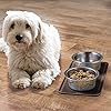 mDesign-Premium-Quality-Pet-Food-and-Water-Bowl-Feeding-Mat-for-Dogs-and-Puppies-Waterproof-Non-Slip-Durable-Silicone-Placemat-Raised-Edges-Food-Safe-Non-Toxic-Small-Espresso-Brown Feeding Mat for Dogs and Puppies