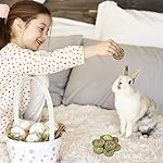 ERKOON 100% Edible Premium Timothy Hay Chew A Blocks for Rabbits, Chinchilla Treats, Chew Toys for Teeth Guinea Pigs and… - Image 4