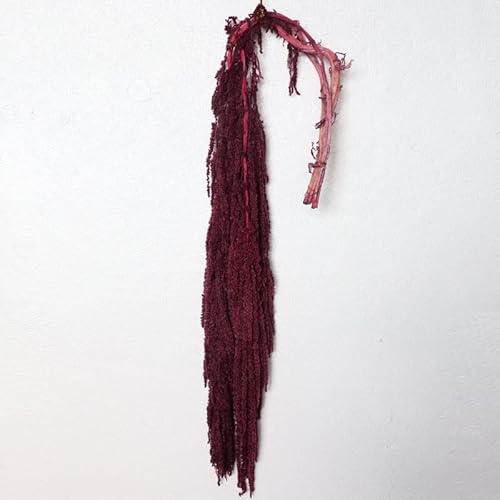 Hanging Amaranthus Natural Burgundy - 5 Stems | Dried Flowers | Hanging Flowers | Natural Flowers | Wisteria Vine | Preserved Flowers #TOP6