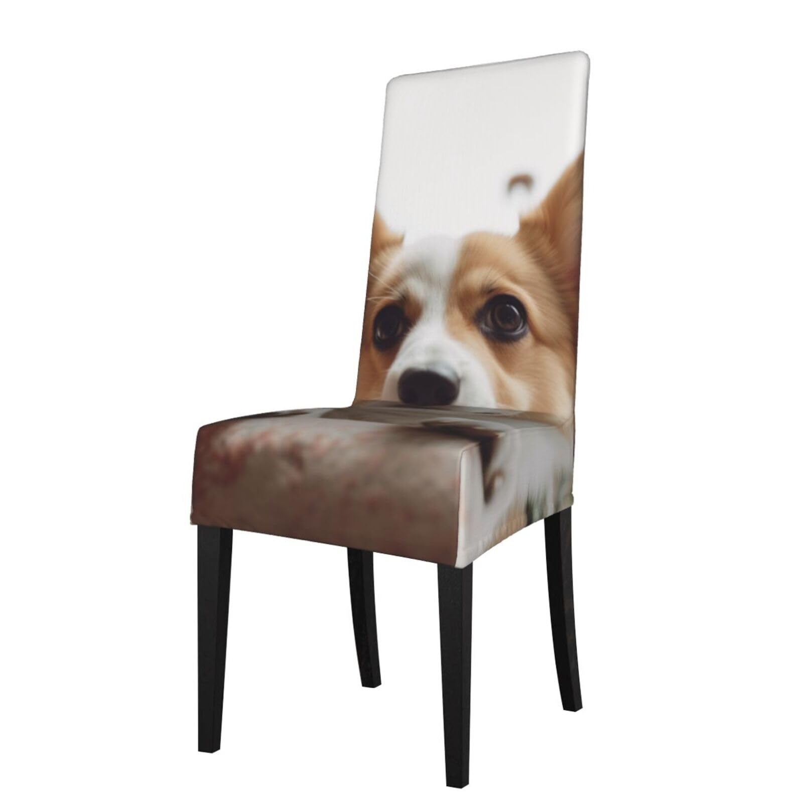 WPKJU Cute Corgi Cartoon Print Dining Chair Covers Removable Chair Seat Covers Decorative for Kitchen & Bar Stools