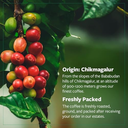 Image of Cafe Coffee Day - Peaberry 100% Coffee - 200Gm Each (Pack Of 2)|Medium To Dark Roast|South Indian Filter Coffee Pouch|Fresh From Chikmagalur Factory