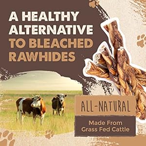 Mighty-Paw-Braided-Bully-Sticks-for-Large-Dogs-5-Pack-Large-Bully-Sticks-Best-Dog-Bully-Sticks-for-Medium-Dogs-Twisted-Treats-for-All-Breeds-Odor-Free-Bully-Sticks-Thick-12-6-Variety-Pack - Cucciolini Doodles   Mighty-Paw-Braided-Bully-Sticks-for-Large-Dogs-5-Pack-Large-Bully-Sticks-Best-Dog-Bully-Sticks-for-Medium-Dogs-Twisted-Treats-for-All-Breeds-Odor-Free-Bully-Sticks-Thick-12-6-Variety-Pack