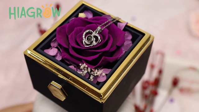 Amazon.com: HIAGROW Preserved Real Pink Forever Rose Rotating Box